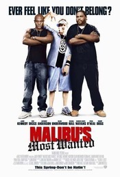 Malibu's Most Wanted - Cel mai cautat din Malibu (2003)